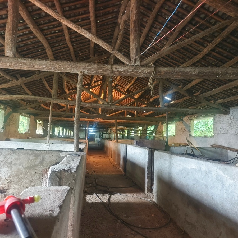 通川磐石镇1000㎡养殖厂房出租(可分)