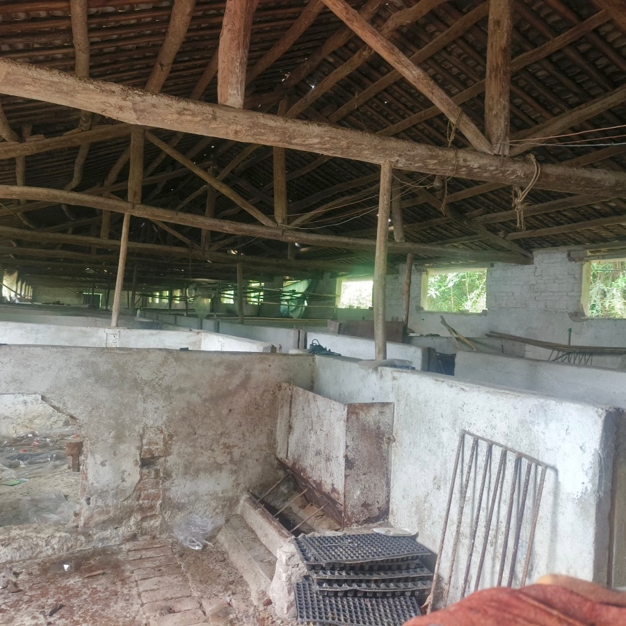 通川磐石镇1000㎡养殖厂房出租(可分)