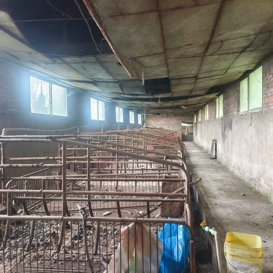 通川磐石镇1000㎡养殖厂房出租(可分)